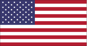 image - American Flag drawn on an Access report by VBA